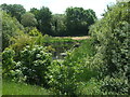 Pond near Great Stoke in BS34 8YU