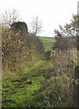 Footpath near Awsworth in NG16 2RZ