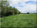 Field edge off Appleton Lane in YO17 6UP
