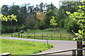 Path down to forestry road in Rudry Community