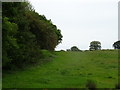 Grazing off Gresford Road (B5373) in LL12 9PP