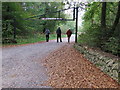 Entrance into East Harptree Woods in BS40 6BZ