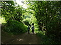 On the Wye Valley way footpath in NP16 7NG