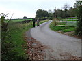 Lane to Nettwood Farm in BS40 6AG