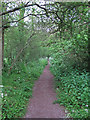 Bridleway nr Queens Park Country Park, Billericay in CM12 0TL