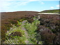 Footpath approaching a little pass next to Harbour Hill, Haworth in BD22 9RQ
