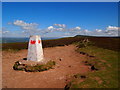 Trig Point, Mynydd Llangorse in LD3 7UH