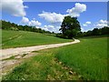 Grassland, track and woodland, Ramsbury in SN8 2PW
