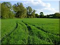 Farmland, Chalgrove in OX44 7BY