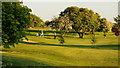 Evening golfers in DN36 4EN