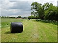 Silage bales in a meadow in WR2 4QR