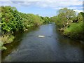 River Tees, Hurworth in DL2 1QN