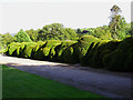 Topiary, Holme Lacy hotel in HR2 6LN