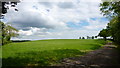 Grassy field near Eaton Bishop in HR2 9QU