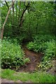 Stream by Dunclent Lane, near Stone, Worcs in DY10 4AY
