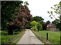 Bridlepath past Redisham Hall Nursery and Gardens in NR34 8LZ