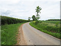 Minor rural road Saham Waite in IP25 7RE