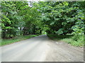 Road to East Winch adjacent to West Bilney Wood in PE32 1LE