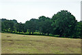 Farmland and trees east of Llanfair Clydogau in Ceredigion in SA48 8LJ