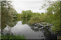 Lake near Lea Marston in B46 2HH