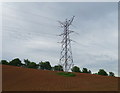 Pylon in field near Burybank in ST15 0RF