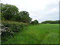 Grassland near Long Compton Farm in ST15 0QB