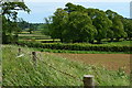 Fields and trees near Bridge Farm in BA5 3NU