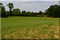 View across fields north of the River Sheppey in BA5 3PY