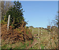 Public Footpath to Colton Hills, Staffordshire in WV4 5QW