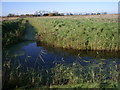 Ditches on Graveney marshes in ME13 9DR