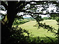 A glimpse of the farmland above West Leigh in TA4 3QZ