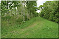 Path for not horses by the edge of the young wood in MK43 7AB