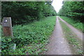 Track through West Wood in Knotting and Souldrop