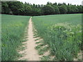 Footpath to Chawton Park Wood in GU34 5PD