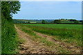 Field edge view at Stourton in BA12 6QJ