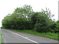 Woodland beside Newcastle Road (A53), Shifford's Bridge in TF9 2PW