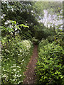 Path onto Heysham Moss in LA3 2EP