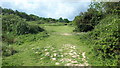 Path in Knowle Hill Conservation Site in SO50 7EA