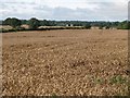 Arable land near Coldside Farm in North East English Region