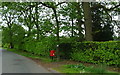 Elizabeth II postbox on Mucklestone Wood Lane, Loggerheads in TF9 4PS