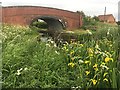 Stathern Bridge, #45 on the Grantham Canal in LE14 4EX