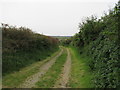 Sheltered lane from Southwood Farm in SA62 6AW