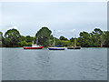 Looking across Fareham Lake in PO16 8AA