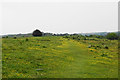 Path on Farthing Downs in CR5 1NA