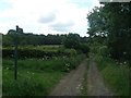 Footpath towards Simon Wood in S73 0NX
