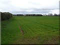 Arable land, Hillhampton in HR1 3QJ