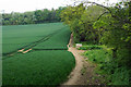 Footpath towards Happy Valley in CR5 1NY