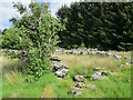 Ruined sheepfold, near Carrot in G76 0PN