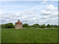 Kinwarton Dovecote with cows in Kinwarton