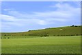 Farmland below Pewsey White Horse in SN9 5JE